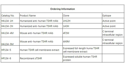 مكافحة الإنسان TSHR mAb