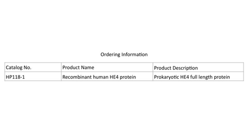 المؤتلف الإنسان HE4 البروتين