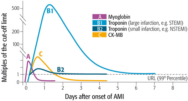 Myo-أقرب بشكل غير طبيعي زيادة بروتين القلب علامة بعد إصابة عضلة القلب